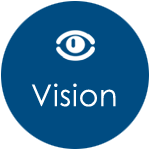 VisionIcon